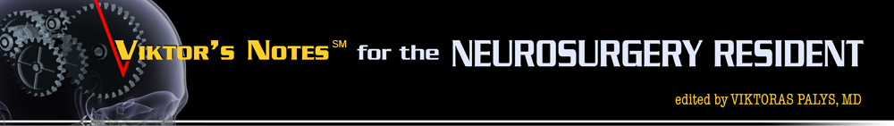 Banner1 'Viktor's Notes'